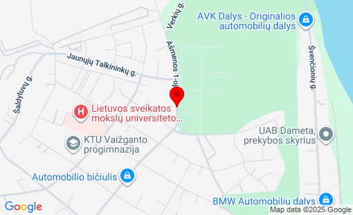 Google Map